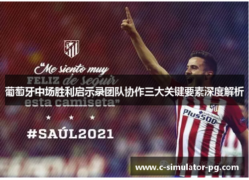 葡萄牙中场胜利启示录团队协作三大关键要素深度解析 葡萄牙中场胜利启示录团队协作三大关键要素深度解析