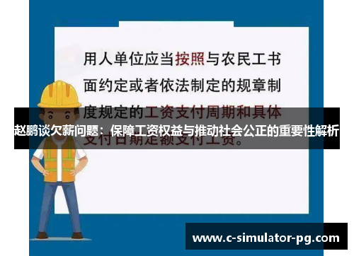 赵鹏谈欠薪问题：保障工资权益与推动社会公正的重要性解析