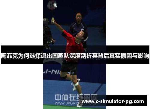 陶菲克为何选择退出国家队深度剖析其背后真实原因与影响