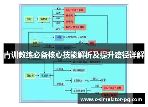 青训教练必备核心技能解析及提升路径详解