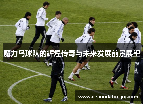 魔力鸟球队的辉煌传奇与未来发展前景展望