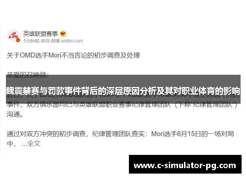 魏震禁赛与罚款事件背后的深层原因分析及其对职业体育的影响