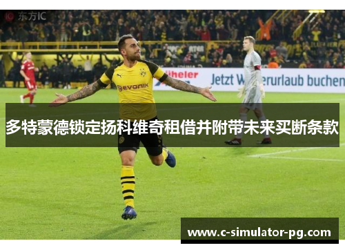 多特蒙德锁定扬科维奇租借并附带未来买断条款