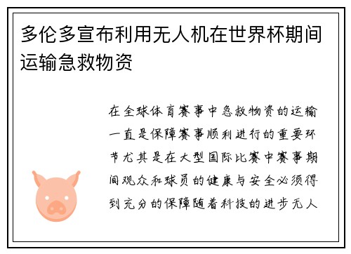 多伦多宣布利用无人机在世界杯期间运输急救物资 多伦多宣布利用无人机在世界杯期间运输急救物资